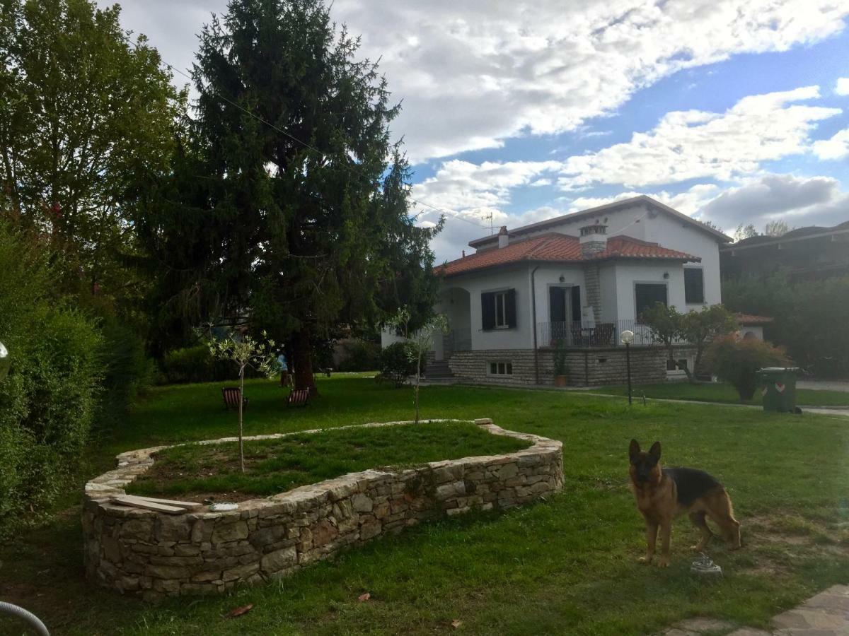 Villa Grespola ルッカ エクステリア 写真